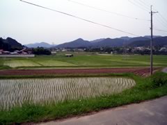 g.jpg
